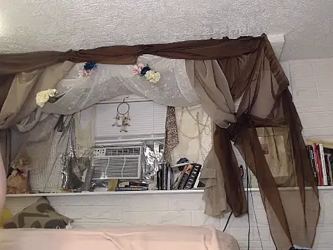 MaxiMillz online show from 11/23/25, 02:22