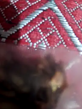 XBHUUME online show from 02/01/25, 10:15