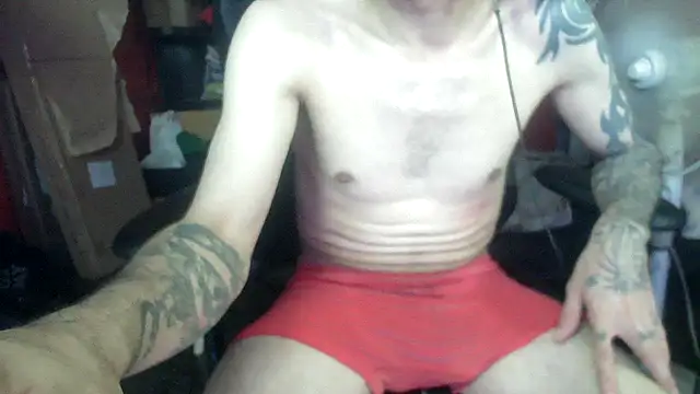 zorrito86 online show from 07/02/26, 04:24