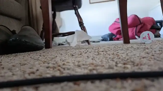 CDforU online show from 02/05/26, 06:01