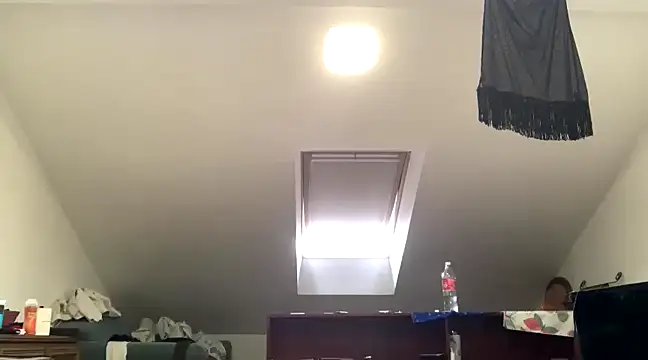 WildzMareNextLevel online show from 01/04/25, 09:54