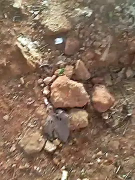 Gopal1243 online show from 12/15/24, 02:08