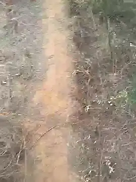 Gopal1243 online show from 02/10/25, 02:08