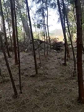 Gopal1243 online show from 02/26/25, 02:15