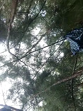 Gopal1243 online show from 09/28/25, 06:19