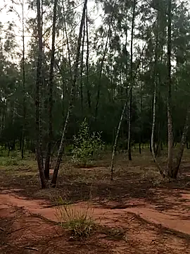 Gopal1243 online show from 10/09/25, 01:58