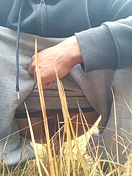 Desi Rider Aadi online show from 12/29/24, 02:49