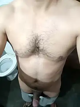 Desi Rider Aadi online show from 12/31/24, 07:31