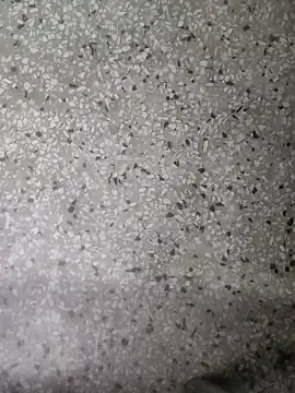 Snapshot of Rajibsorkar20 chatting on 01/16/25, 09:19 Rajibsorkar20 online show from 01/16/25, 09:19