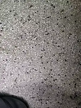 Snapshot of Rajibsorkar20 chatting on 02/16/25, 08:11 Rajibsorkar20 online show from 02/16/25, 08:11