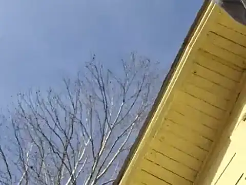 highstepper500 online show from 12/25/24, 08:07