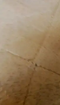 LULE37587001 online show from 02/20/26, 06:26