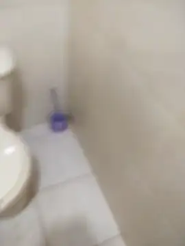 sagrado 1989 online show from 02/06/26, 01:21