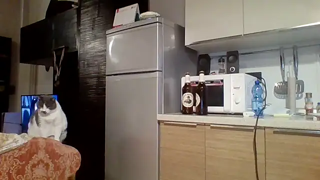 woww791 online show from 10/07/25, 05:43