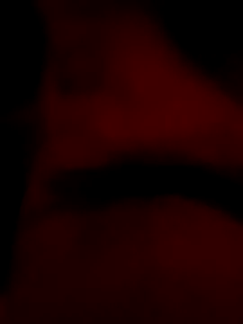 Snapshot of roccosif696 chatting on 01/25/25, 06:46 roccosif696 online show from 01/25/25, 06:46