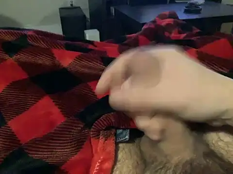 northcock87 online show from 12/11/24, 02:09