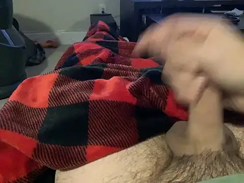 northcock87 online show from 12/19/24, 02:56