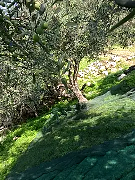 Snapshot of VictoriaMiami chatting on 11/15/25, 08:44 VictoriaMiami online show from 11/15/25, 08:44