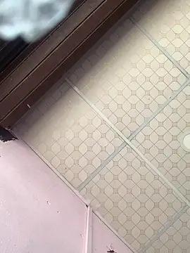 Snapshot of Hullax chatting on 11/25/25, 04:34 Hullax online show from 11/25/25, 04:34