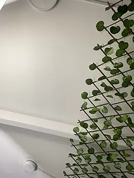 adriscute online show from 04/03/26, 06:17