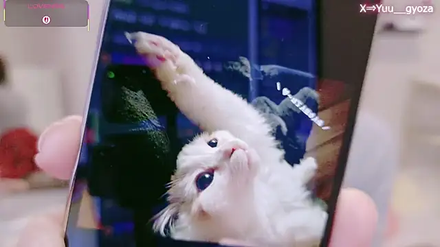 Yuu  k online show from 03/07/26, 02:36