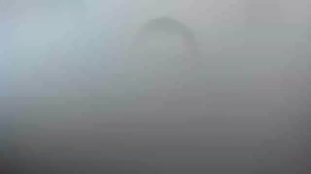 smile sweetpao online show from 02/23/25, 10:31