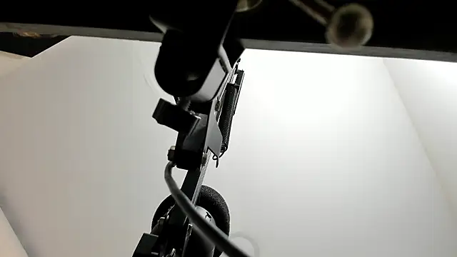 sarita loven online show from 02/19/26, 04:52