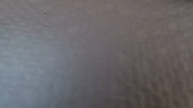 TsSandyx online show from 04/30/26, 10:21
