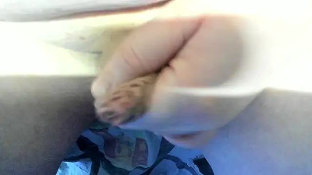 Big Andiy online show from 12/19/25, 04:19