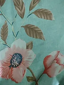 Snapshot of rodhathor chatting on 04/03/26, 07:34 rodhathor online show from 04/03/26, 07:34