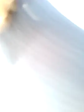 mustican422 online show from 02/25/25, 10:04