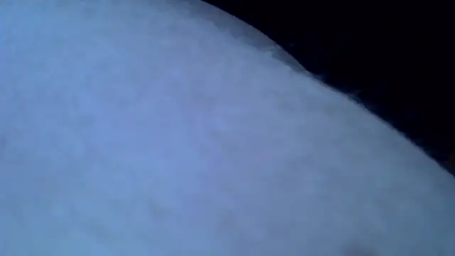 Mariomario0565 online show from 01/31/25, 08:11