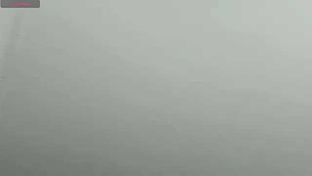 Snapshot of natasha_logan_ chatting on 02/09/25, 04:25 natasha logan online show from 02/09/25, 04:25