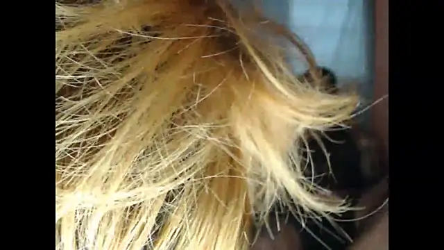 lover 1994 online show from 03/27/26, 12:05