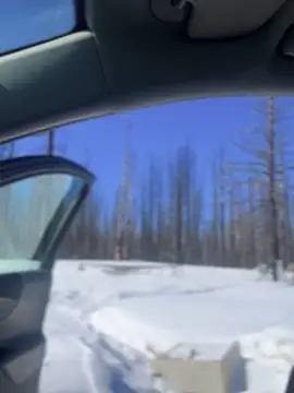 Snapshot of GoldenFlameGoddess chatting on 03/06/25, 07:54 GoldenFlameGoddess online show from 03/06/25, 07:54