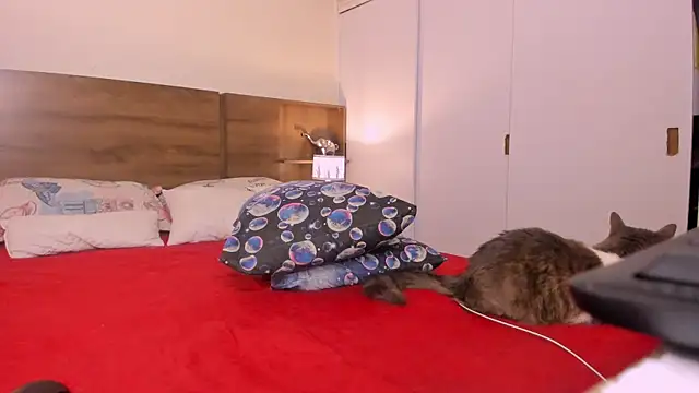 emily adams01 online show from 02/27/25, 12:43