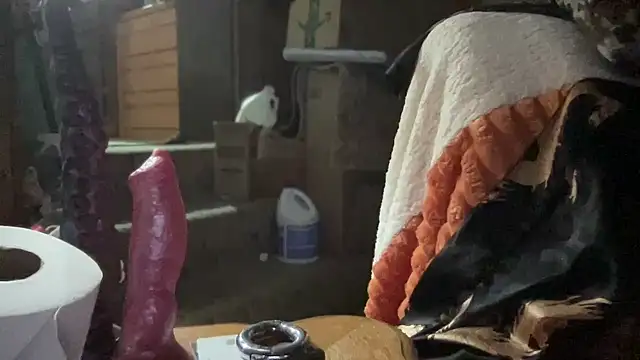 44jon44 online show from 11/26/25, 03:40