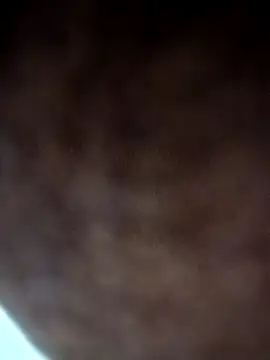 Lent Medium online show from 11/12/25, 05:46