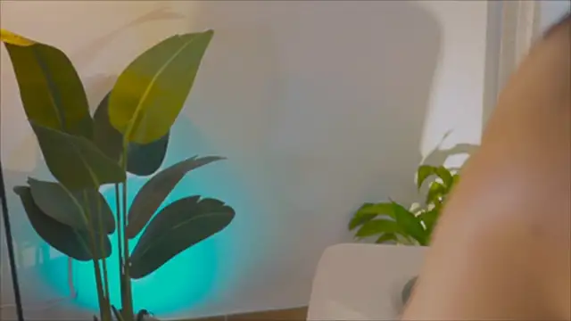 anabelcurvy online show from 02/06/25, 04:03