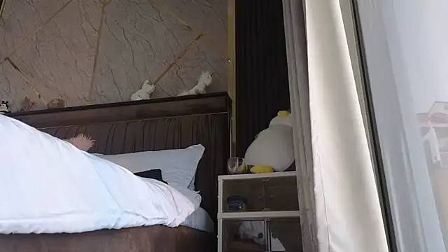 Snapshot of Allys chatting on 02/19/25, 07:50 Allys online show from 02/19/25, 07:50