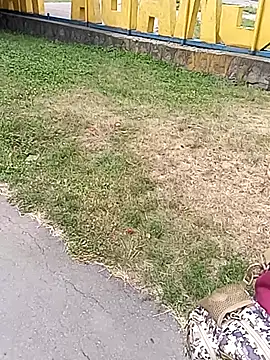 explored romantic online show from 07/21/26, 09:00