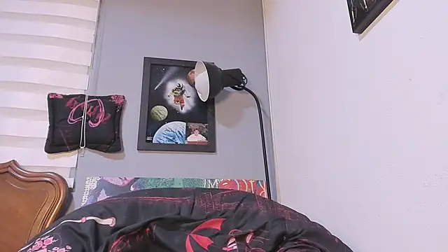 damn fox online show from 12/20/24, 07:01