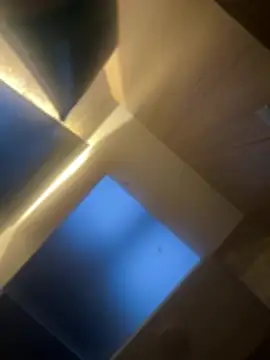 CeliWoods online show from 02/06/26, 11:13