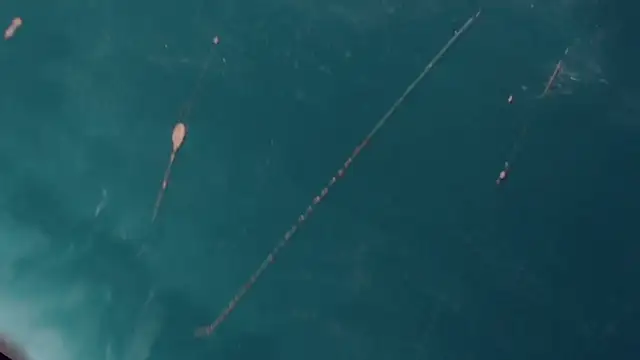 CharlotteBigCock online show from 01/12/25, 03:25