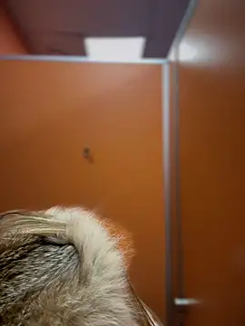 Snapshot of pinkstar_ chatting on 02/24/25, 09:10 pinkstar online show from 02/24/25, 09:10