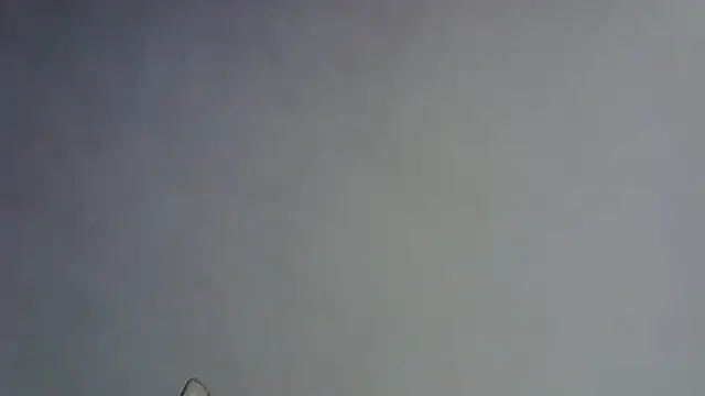 Skinny-Kitten online show from 01/16/26, 05:28