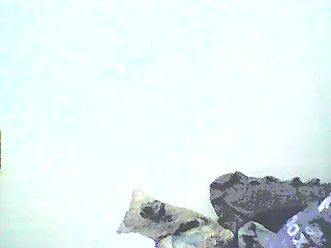 Snapshot of Stormward chatting on 01/12/25, 08:46 Stormward online show from 01/12/25, 08:46