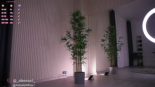 Abbela White online show from 01/23/25, 06:39