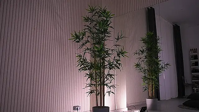 Abbela White online show from 01/23/25, 09:39