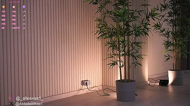 Abbela White online show from 01/27/25, 09:23